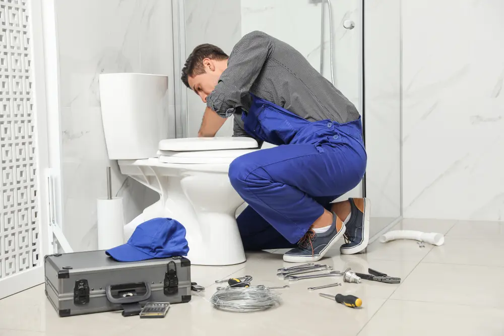 Toilet Installation in Marina